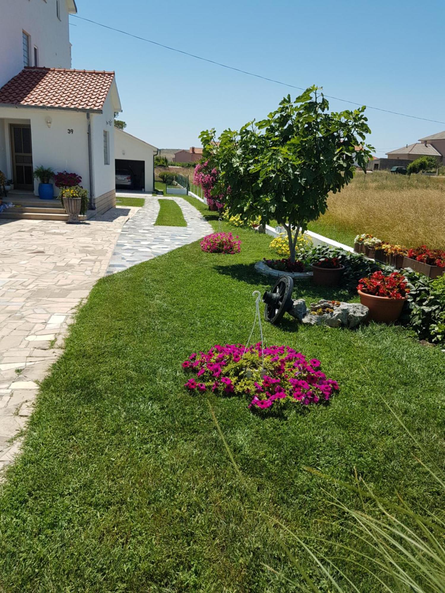 Apartments Smilja Ljubac  Luaran gambar